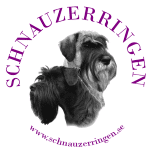  - SKÄGGIG KAMRAT- SCHNAUZER SÅ KLART